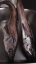 Hake/Panla Fish