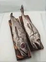 Fish Panla RePro Ctn_10.webp