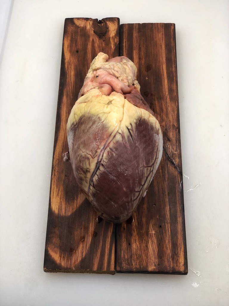 [PSL-069] Beef Heart