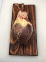 Beef Heart