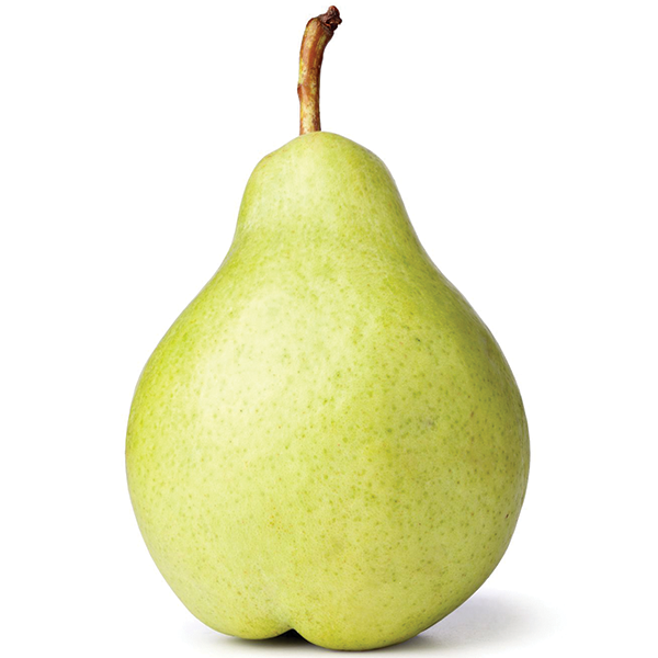 English Pear