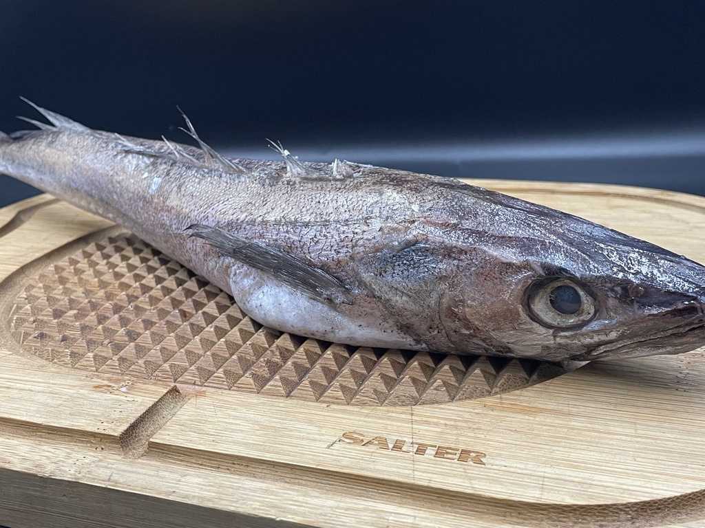 [PSL-093] Hake/Panla Fish
