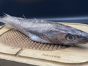 Hake/Panla Fish