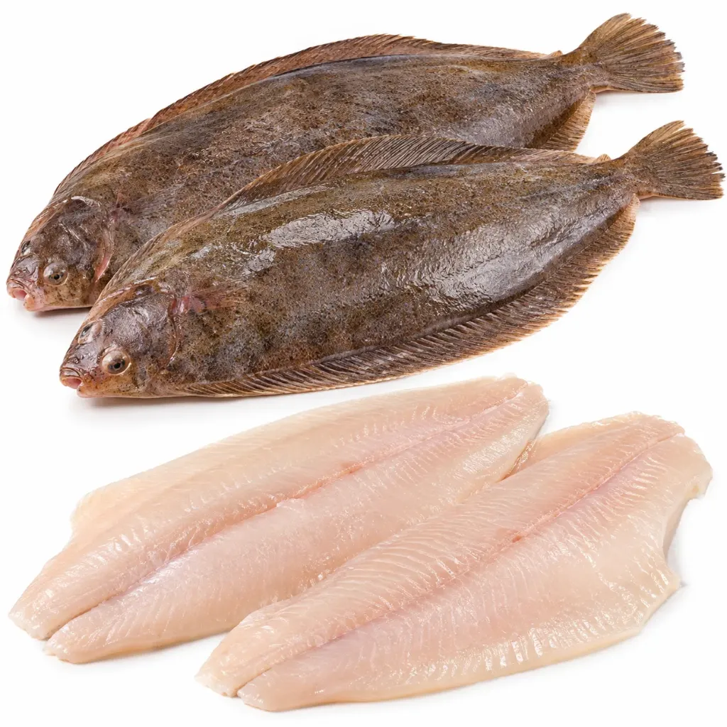 [REP-105] Sole Fish Fillet