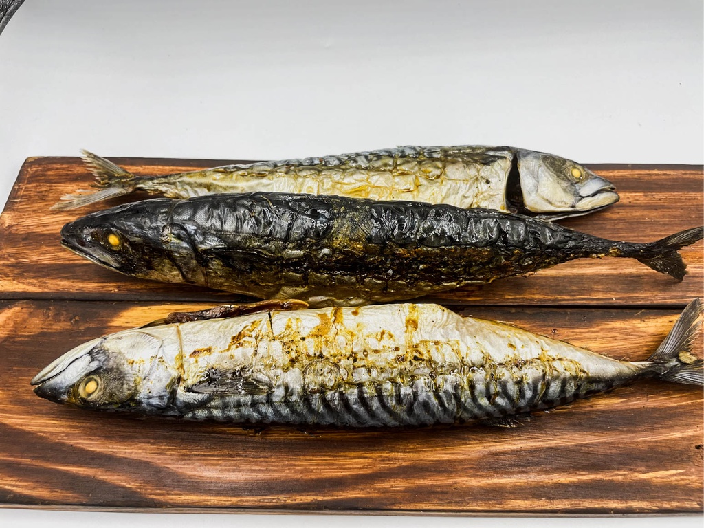 [CMB-110] Smoked Titus AKA Mackerel Fish