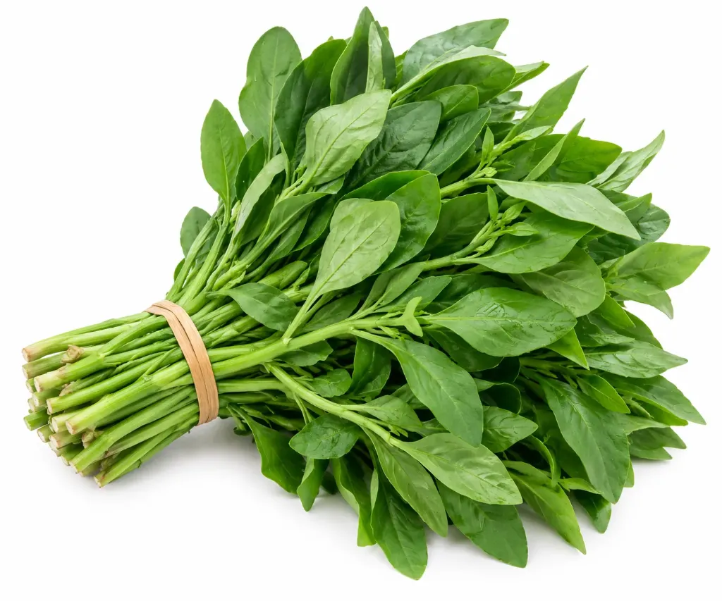 [CMB-0107] Fresh Waterleaf