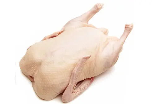 [CMB-248] Whole Duck