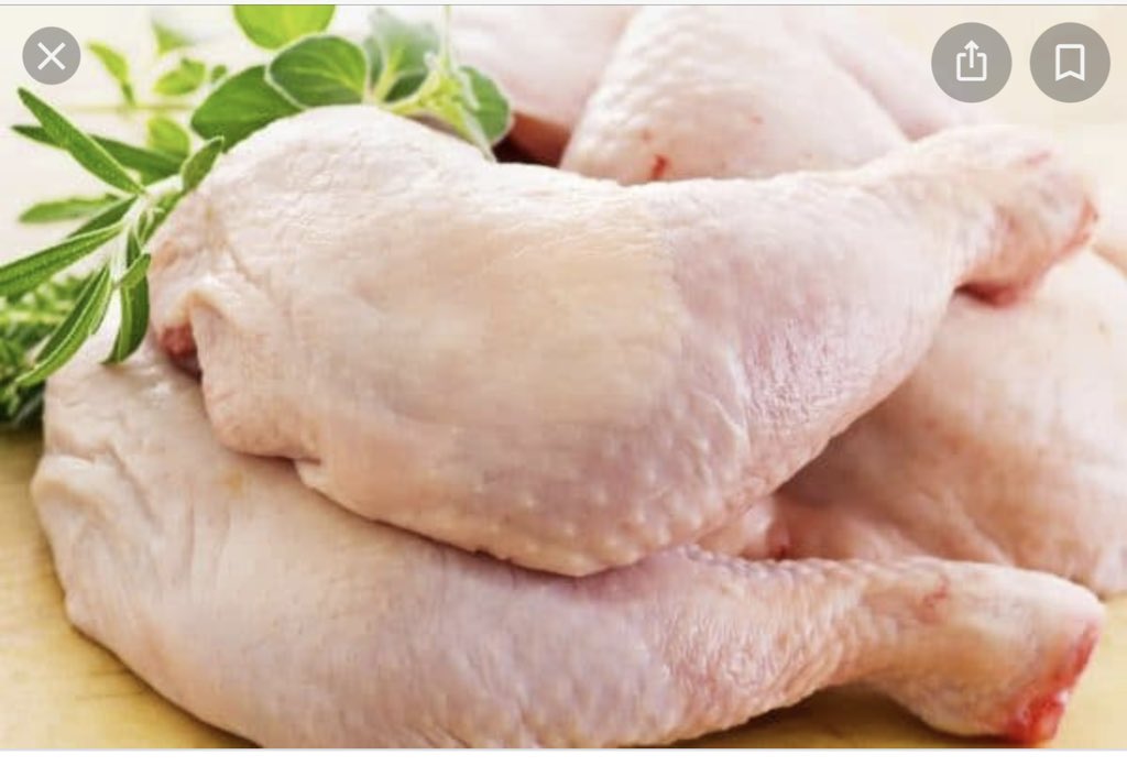 [PSL-234] Orobo Chicken Laps