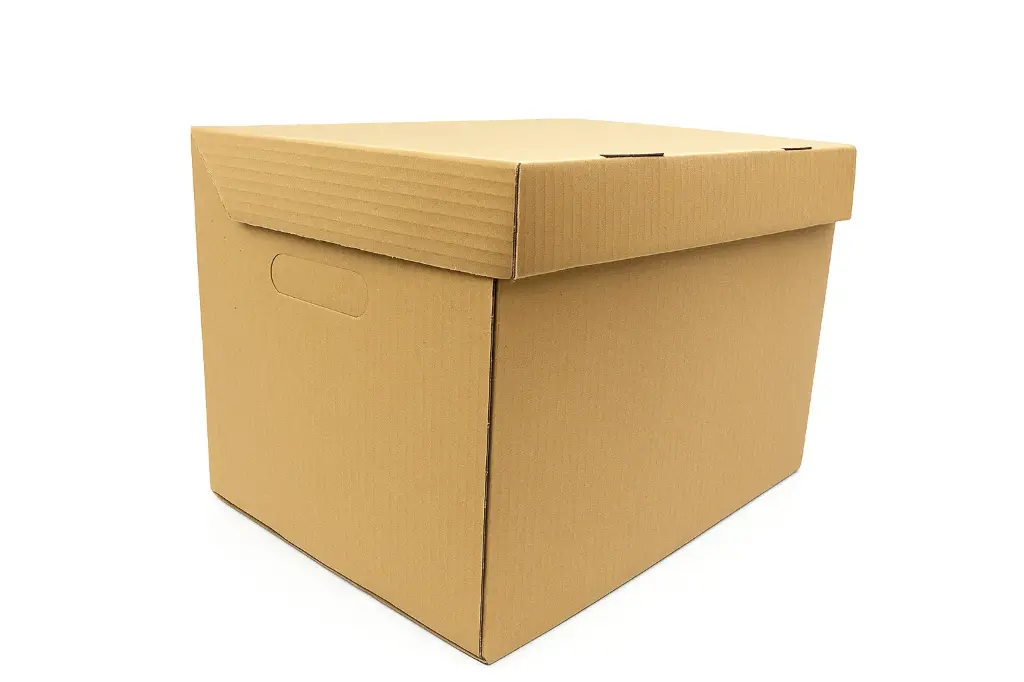 Packing Bags (Carton)