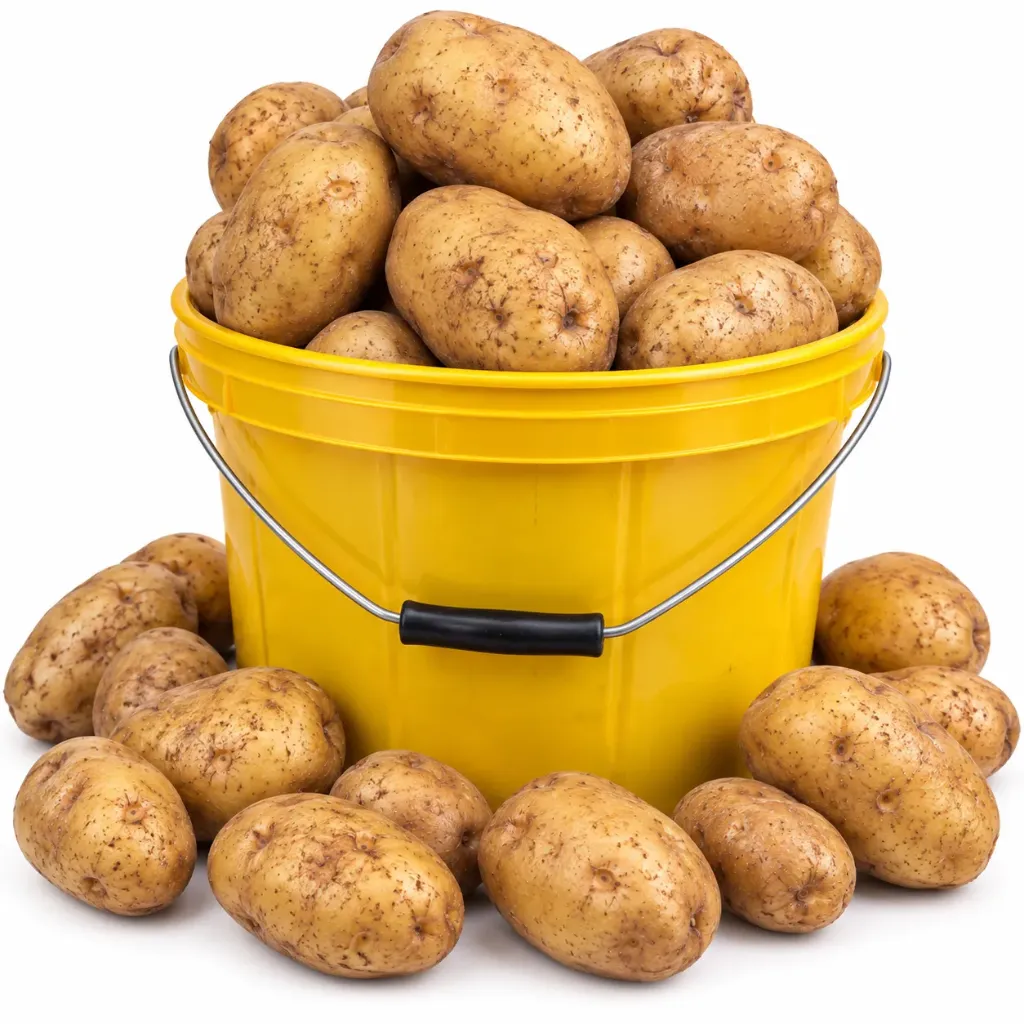[CMB-0102] Irish Potatoe