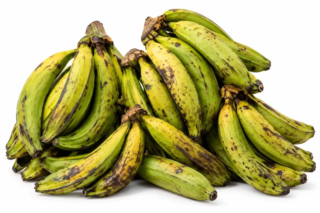 [REP-0001] Plantains