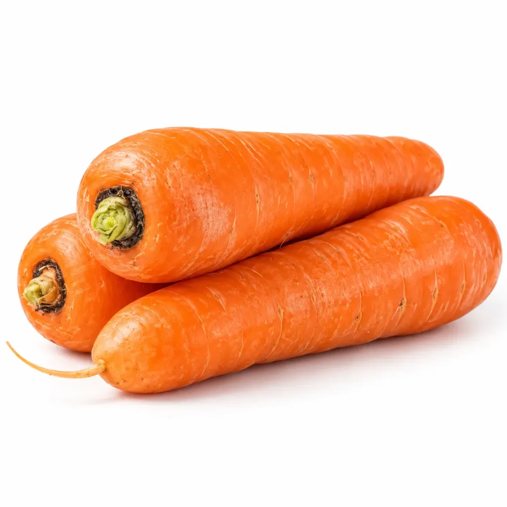 [CMB-0109] V&F Carrot
